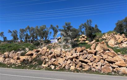 Seferihisar Orhanlı'da Menderes-Ürkmez Yolu üzerinde satılık arazi