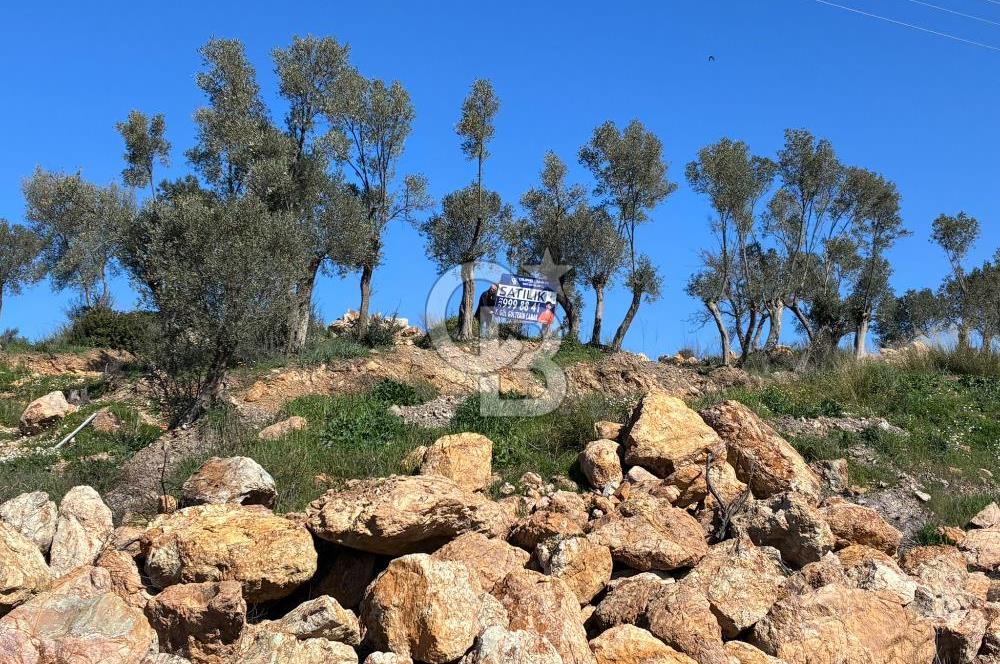 Seferihisar Orhanlı'da Menderes-Ürkmez Yolu üzerinde satılık arazi