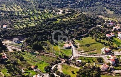 Karaburun Eşendere'de Full Deniz Manzaralı Satılık Tarla