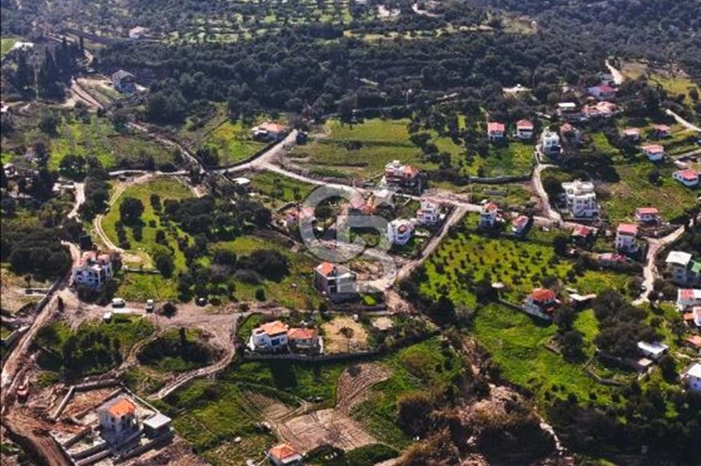 Karaburun Eşendere'de Full Deniz Manzaralı Satılık Tarla