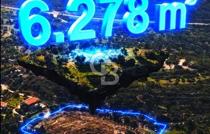 Karaburun Eşendere'de Full Deniz Manzaralı Satılık Tarla