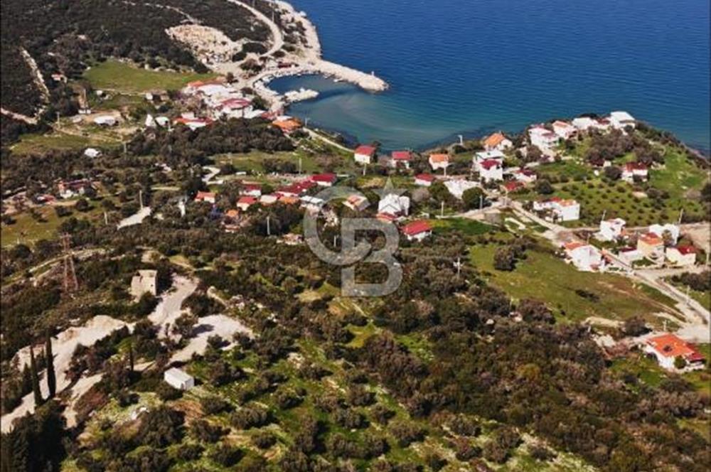 Karaburun Eşendere'de Full Deniz Manzaralı Satılık Tarla