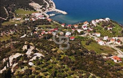 Karaburun Eşendere'de Full Deniz Manzaralı Satılık Tarla