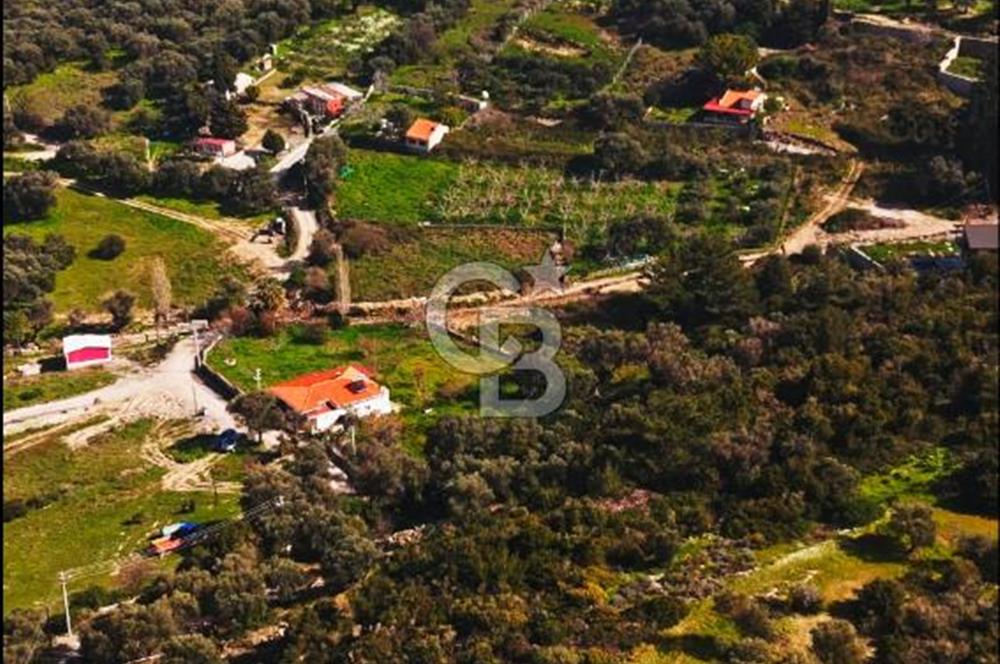 Karaburun Eşendere'de Full Deniz Manzaralı Satılık Tarla