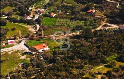 Karaburun Eşendere'de Full Deniz Manzaralı Satılık Tarla