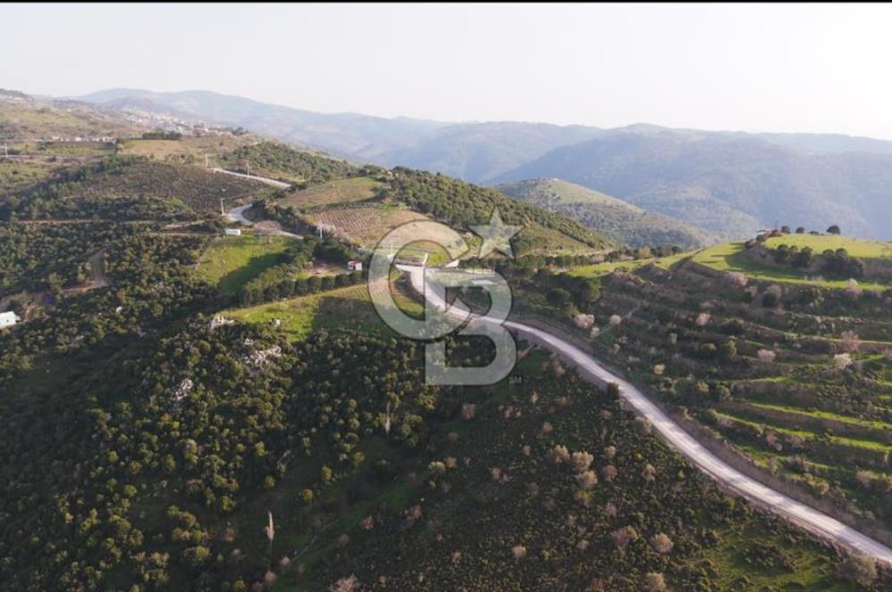 İzmir Güzelbahçe'de Deniz Manzaralı 16.041 m² Satılık Arsa