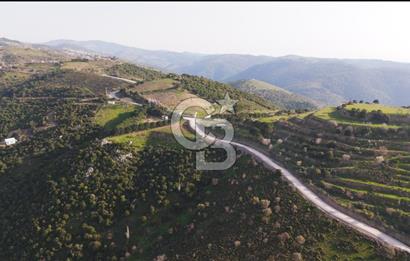 İzmir Güzelbahçe'de Deniz Manzaralı 16.041 m² Satılık Arsa