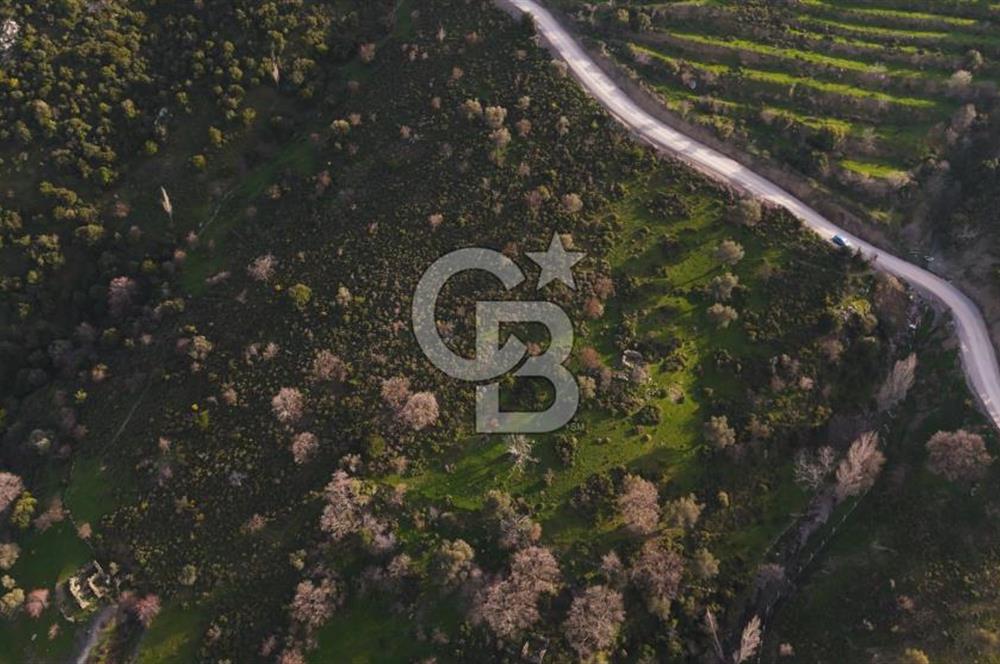 İzmir Güzelbahçe'de Deniz Manzaralı 16.041 m² Satılık Arsa