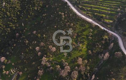 İzmir Güzelbahçe'de Deniz Manzaralı 16.041 m² Satılık Arsa