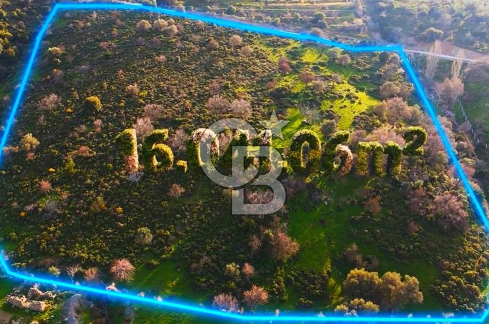 İzmir Güzelbahçe'de Deniz Manzaralı 16.041 m² Satılık Arsa