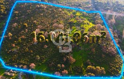 İzmir Güzelbahçe'de Deniz Manzaralı 16.041 m² Satılık Arsa