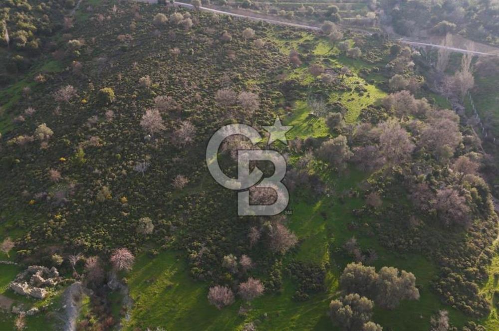 İzmir Güzelbahçe'de Deniz Manzaralı 16.041 m² Satılık Arsa