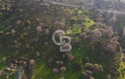 İzmir Güzelbahçe'de Deniz Manzaralı 16.041 m² Satılık Arsa