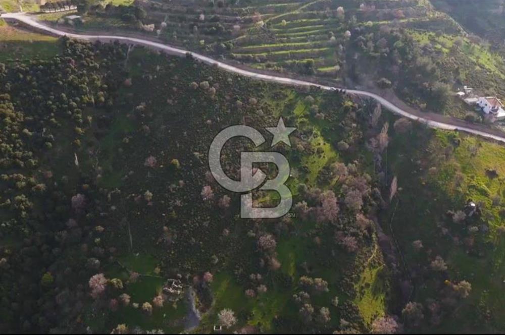 İzmir Güzelbahçe'de Deniz Manzaralı 16.041 m² Satılık Arsa