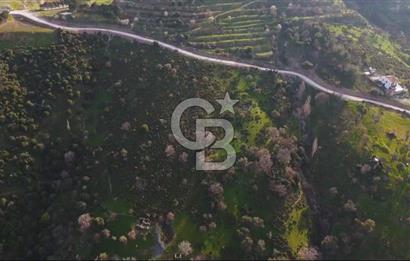 İzmir Güzelbahçe'de Deniz Manzaralı 16.041 m² Satılık Arsa