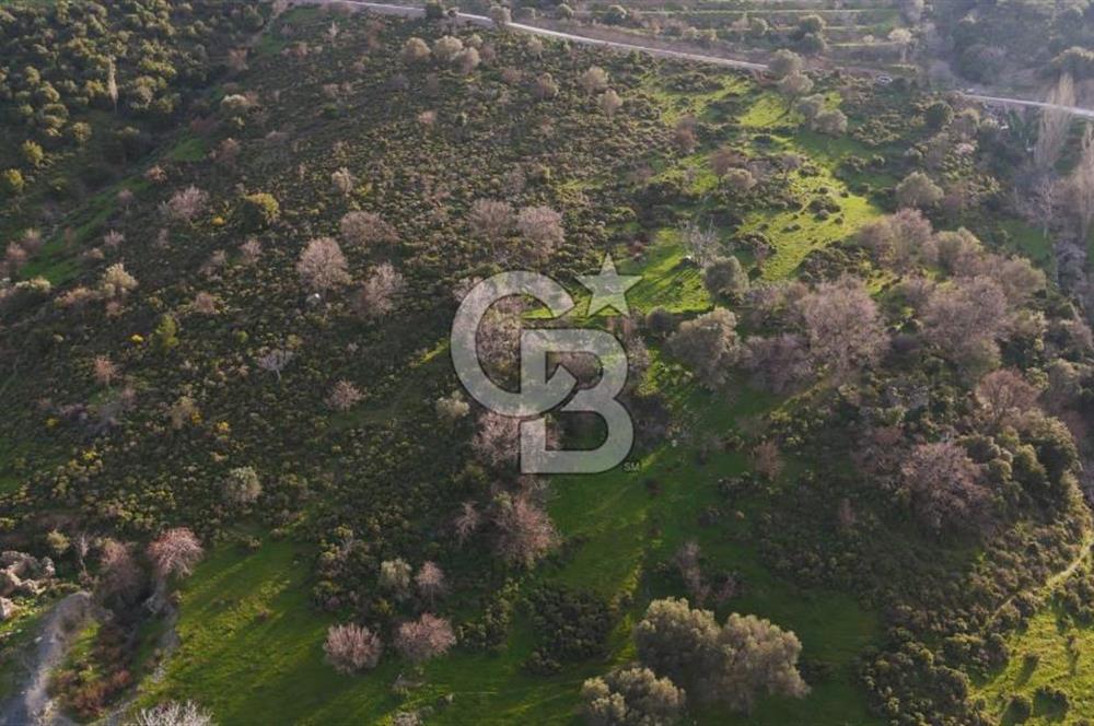 İzmir Güzelbahçe'de Deniz Manzaralı 16.041 m² Satılık Arsa