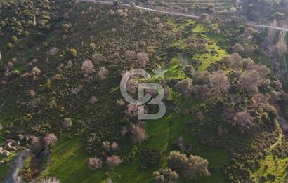 İzmir Güzelbahçe'de Deniz Manzaralı 16.041 m² Satılık Arsa