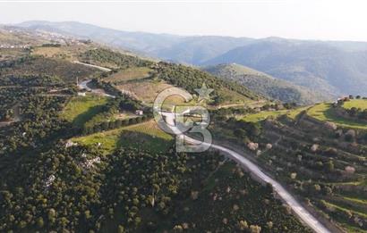 İzmir Güzelbahçe'de Deniz Manzaralı 16.041 m² Satılık Arsa