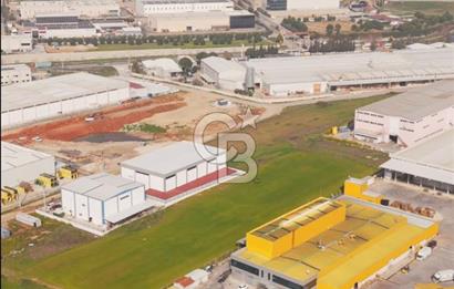 Torbalı Pancar Sanayide Satılık 9.293 m² Satılık Arsa