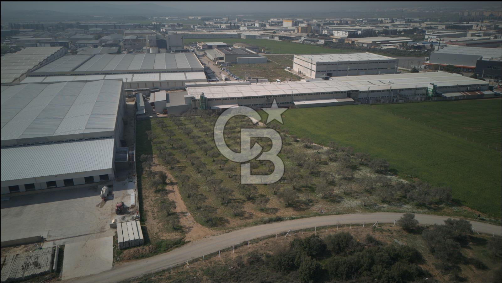 Torbalı Yazıbaşında Satılık 14.319 m² Satılık Sanayi Arsası