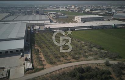 Torbalı Yazıbaşında Satılık 14.319 m² Satılık Sanayi Arsası
