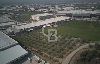 Torbalı Yazıbaşında Satılık 14.319 m² Satılık Sanayi Arsası
