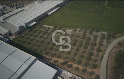 Torbalı Yazıbaşında Satılık 14.319 m² Satılık Sanayi Arsası