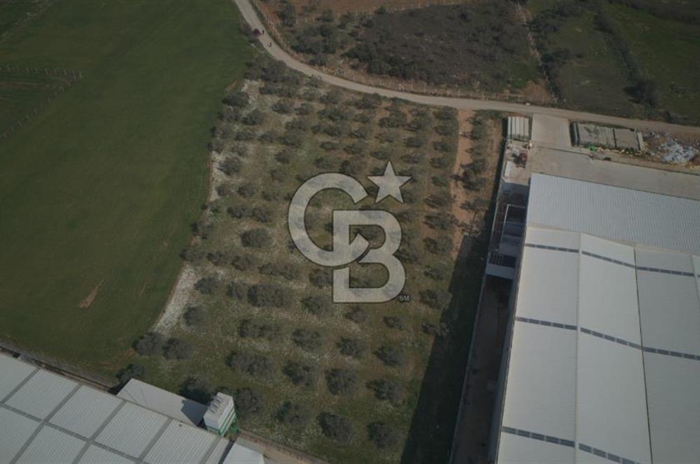 Torbalı Yazıbaşında Satılık 14.319 m² Satılık Sanayi Arsası
