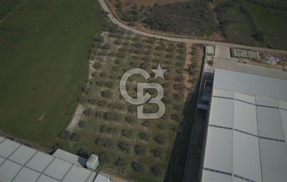 Torbalı Yazıbaşında Satılık 14.319 m² Satılık Sanayi Arsası