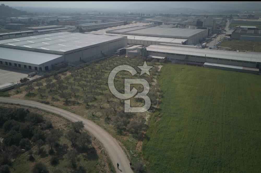 Torbalı Yazıbaşında Satılık 14.319 m² Satılık Sanayi Arsası