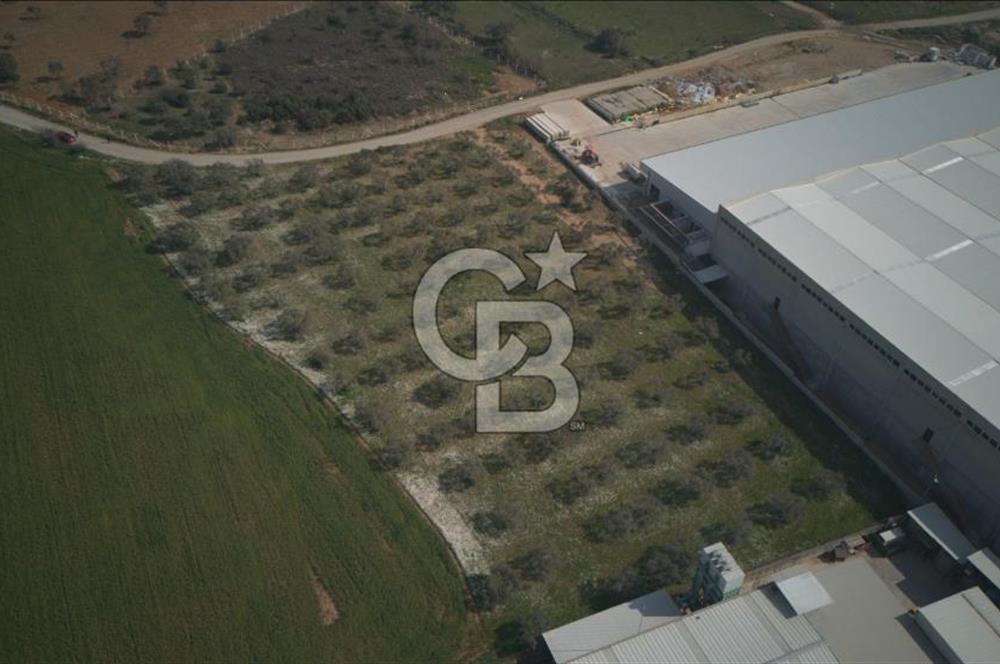 Torbalı Yazıbaşında Satılık 14.319 m² Satılık Sanayi Arsası