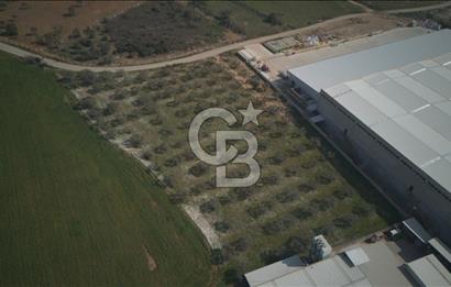 Torbalı Yazıbaşında Satılık 14.319 m² Satılık Sanayi Arsası