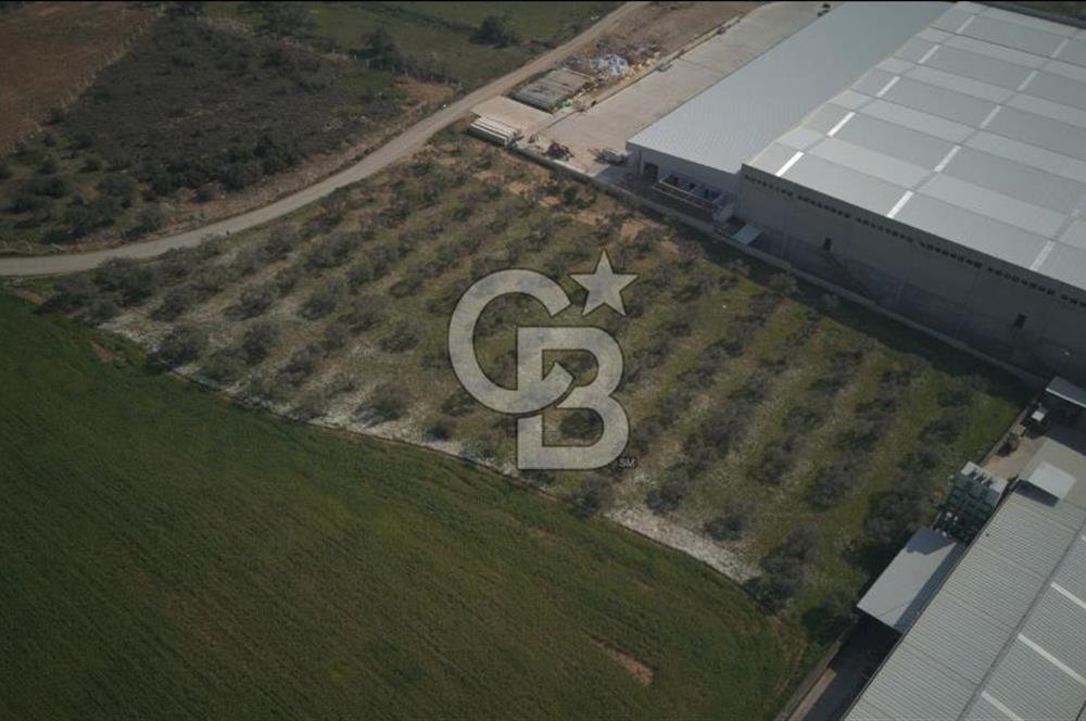 Torbalı Yazıbaşında Satılık 14.319 m² Satılık Sanayi Arsası
