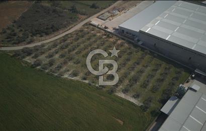 Torbalı Yazıbaşında Satılık 14.319 m² Satılık Sanayi Arsası