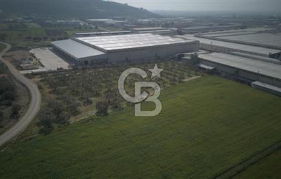 Torbalı Yazıbaşında Satılık 14.319 m² Satılık Sanayi Arsası
