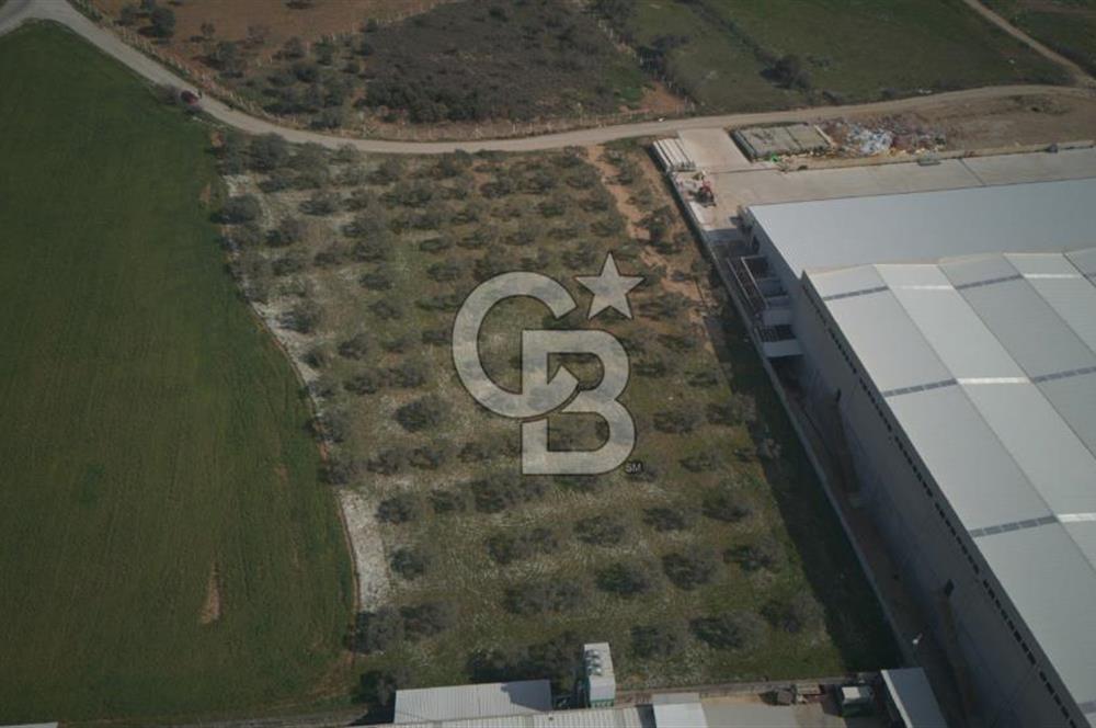 Torbalı Yazıbaşında Satılık 14.319 m² Satılık Sanayi Arsası