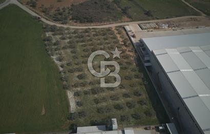 Torbalı Yazıbaşında Satılık 14.319 m² Satılık Sanayi Arsası