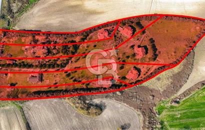 Çatalca Örcünlü'de 5164 m² Yatırımlık Arsa: Villa ve Restaurantlı