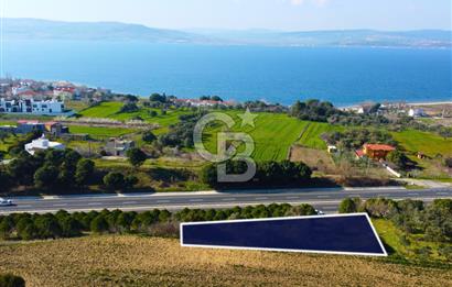 Çanakkale Lapseki Suluca Ana Yol Cephe 513m²'si İmarlı Tarla