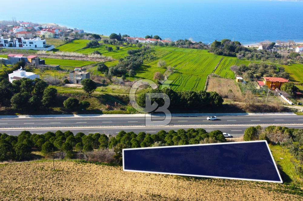 Çanakkale Lapseki Suluca Ana Yol Cephe 513m²'si İmarlı Tarla
