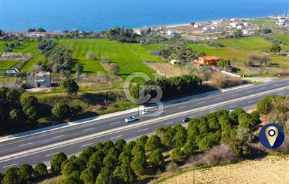 Çanakkale Lapseki Suluca Ana Yol Cephe 513m²'si İmarlı Tarla