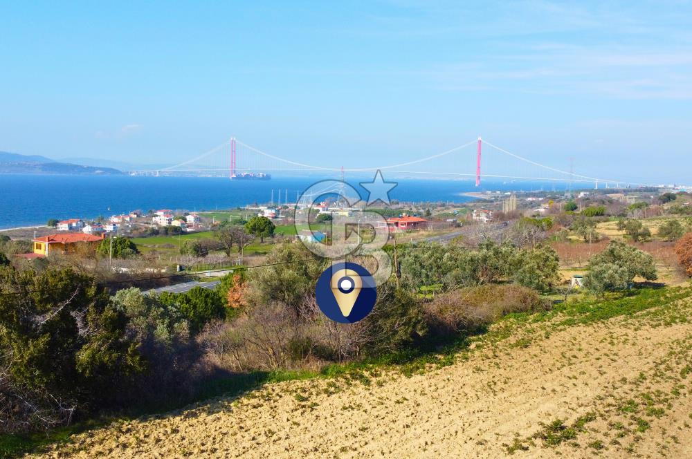 Çanakkale Lapseki Suluca Ana Yol Cephe 513m²'si İmarlı Tarla