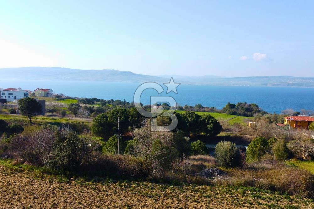 Çanakkale Lapseki Suluca Ana Yol Cephe 513m²'si İmarlı Tarla