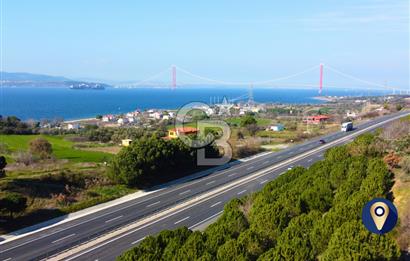 Çanakkale Lapseki Suluca Ana Yol Cephe 513m²'si İmarlı Tarla