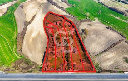 Çatalca Örcünlü'de Satılık 12.717 m2 Arsa