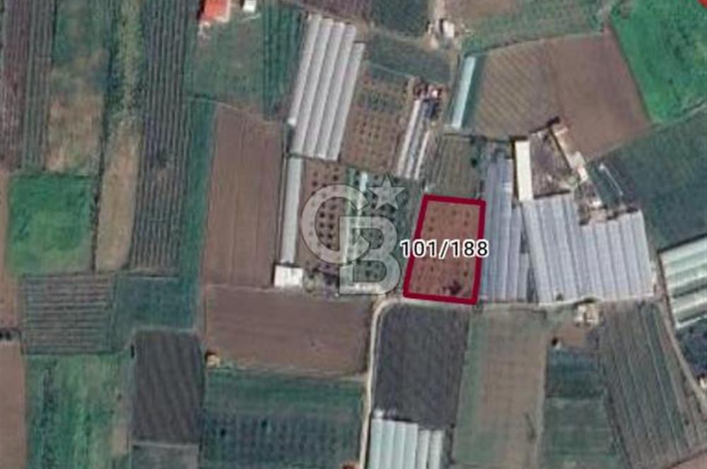 MENEMEN DEĞİRMENDERE SATILIK BAHÇE