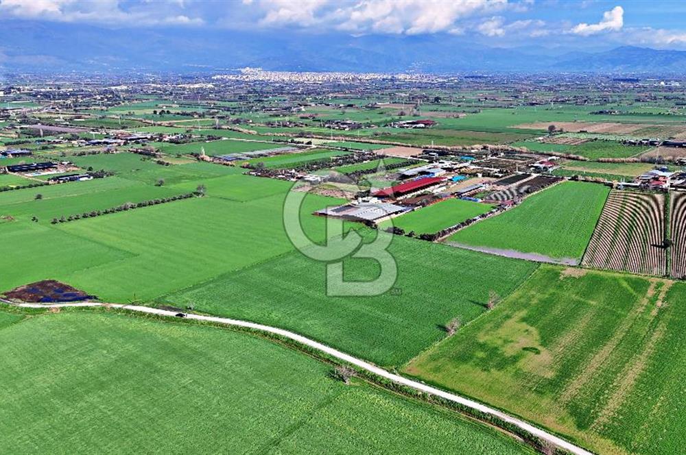 ÖDEMİŞ SEYREKLİ'DE ELEKTRİĞİ SUYU OLAN YOL CEPHELİ SATILIK ARAZİ