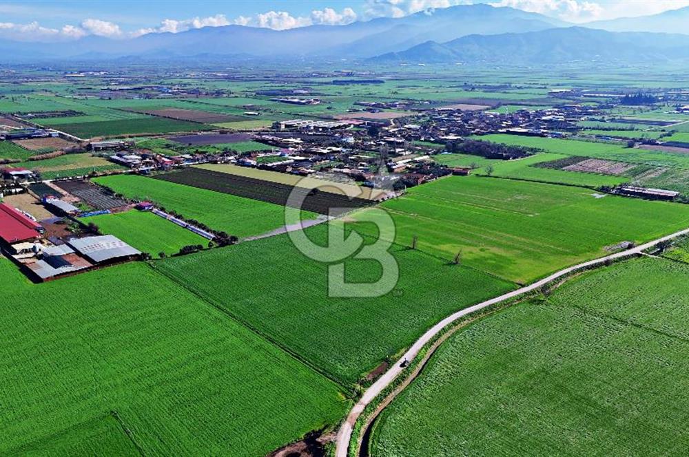 ÖDEMİŞ SEYREKLİ'DE ELEKTRİĞİ SUYU OLAN YOL CEPHELİ SATILIK ARAZİ