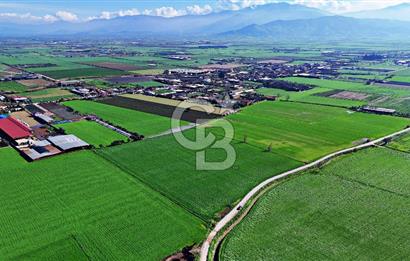 ÖDEMİŞ SEYREKLİ'DE ELEKTRİĞİ SUYU OLAN YOL CEPHELİ SATILIK ARAZİ