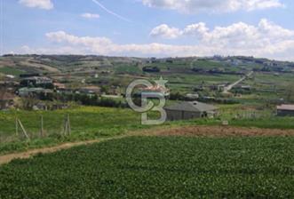 FIRSAT ÇATALCA ÇANAKÇA SATILIK 773 M2 TARLA - 5 - 338330